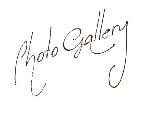 Photo Gallery